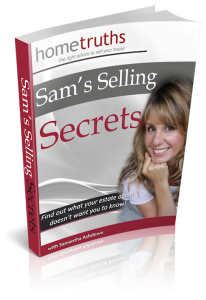 Selling Secrets cover 3D